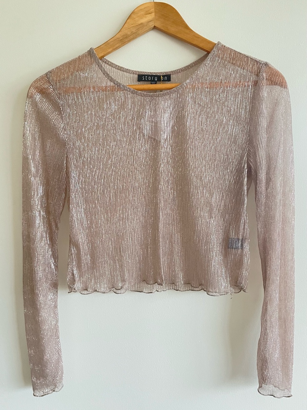 Honey - Metallic Blush Long-Sleeve Crop Top